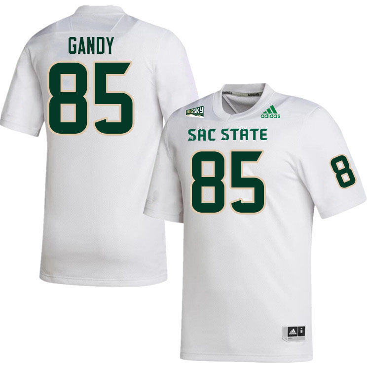 Sacramento State Hornets #85 Darren Gandy College Football Jerseys Stitched Sale-White